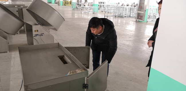湯圓、元宵制陷機.jpg